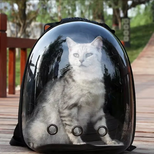 Transparent Space Capsule Cat Backpack
