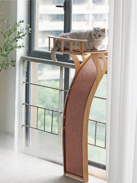 Suction Cup Cat Climbing Slider