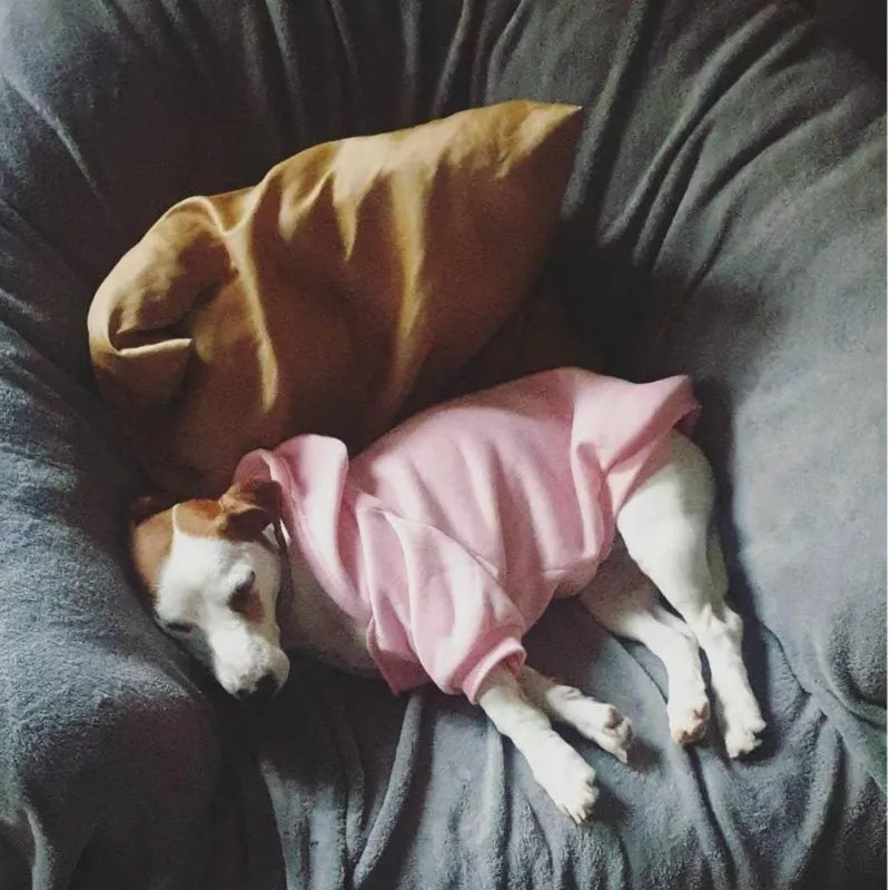 Warm Dog Jacket