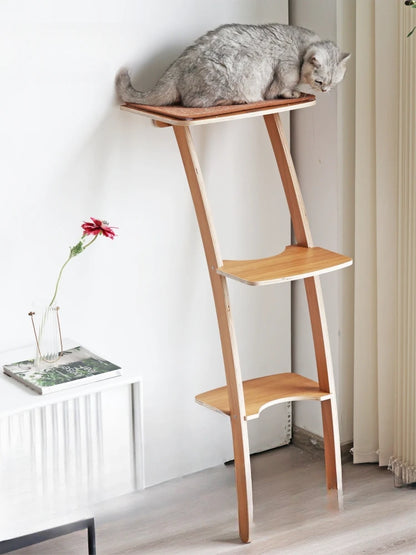 Suction Cup Cat Climbing Slider