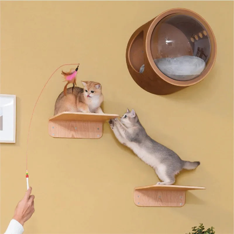 Wall-Mounted Transparent Cat Climbing Set