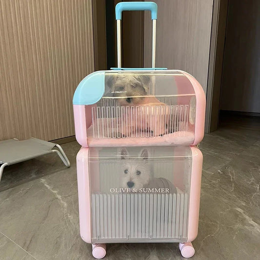 Transparent Double Cat Stroller