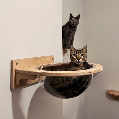 Cat Wall structure