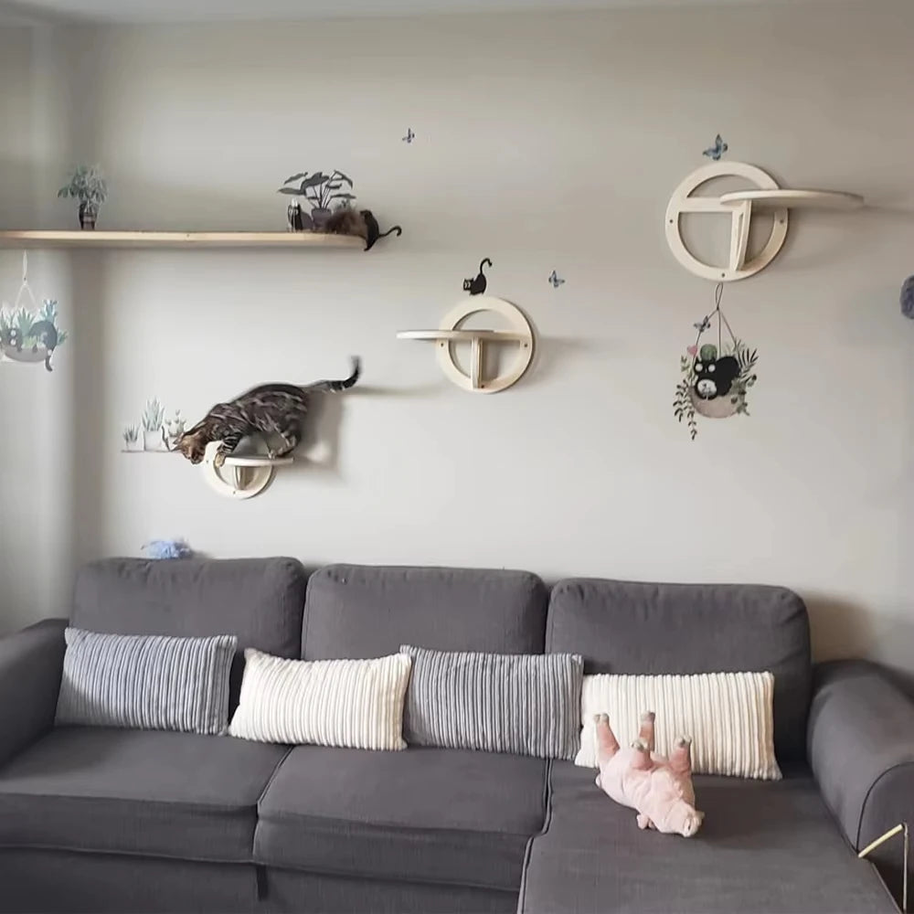 Wall-Mounted Round Cat Jump Platforms