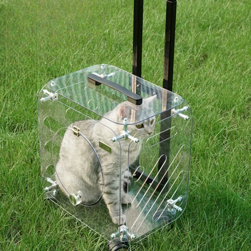 Foldable Pet Trolley Suitcase