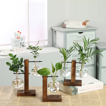 FIVVES| Terrarium Hydroponic Plant Vase