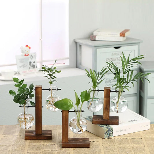 FIVVES| Terrarium Hydroponic Plant Vase