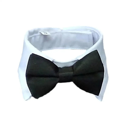 Pet Bow Tie Collar