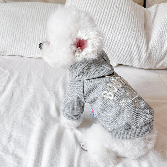 Gray Spring Sweater for Cats & Dogs