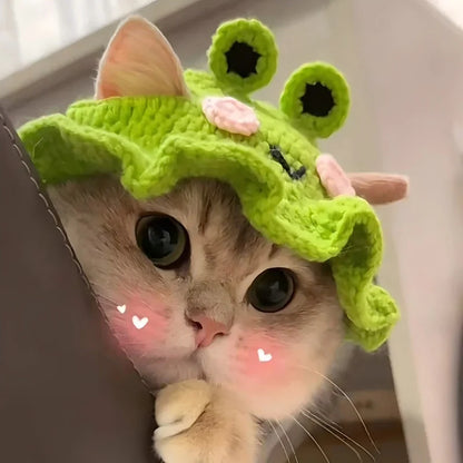 Handmade Knitted Pet Hat