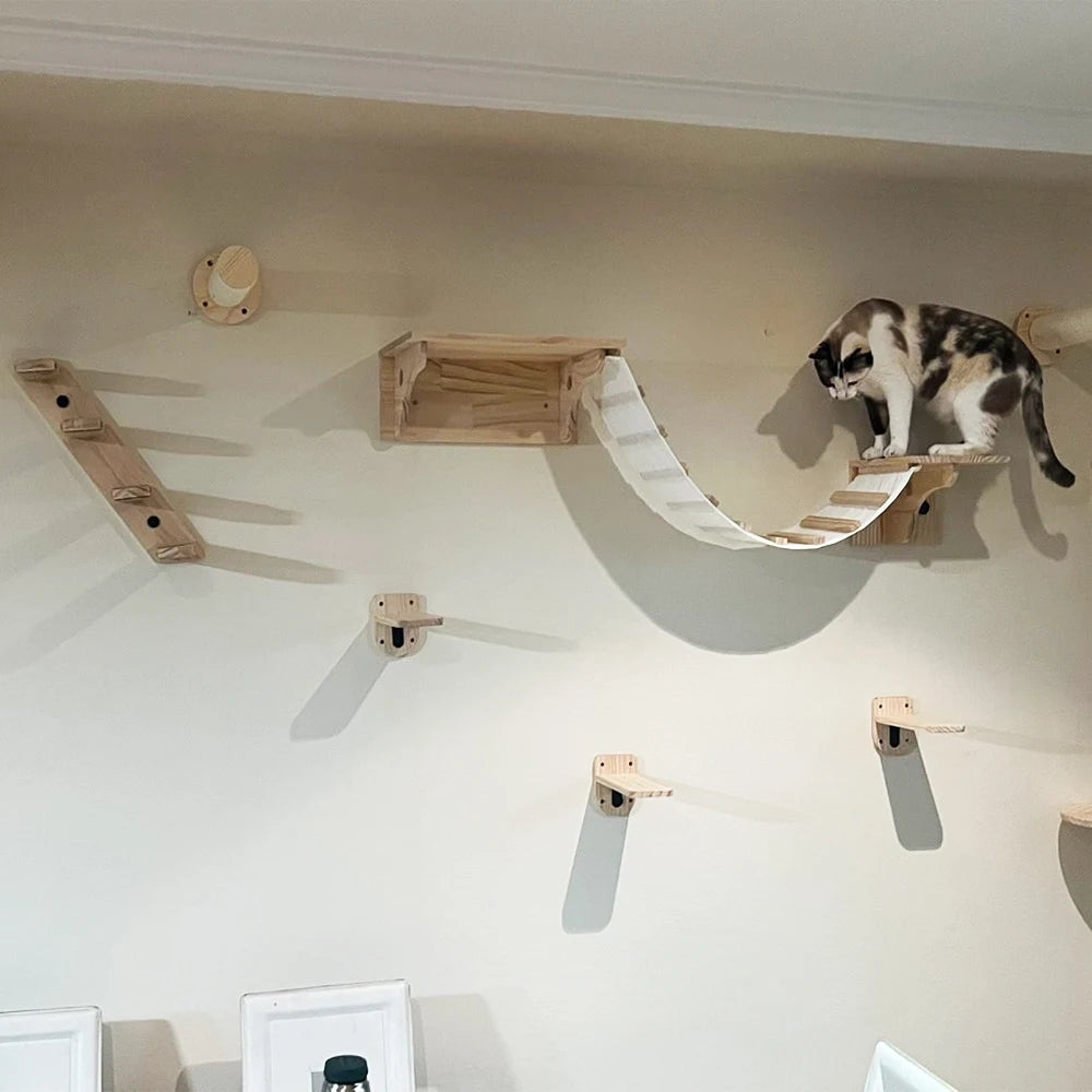Multi-Level Cat Wall Furniture Set