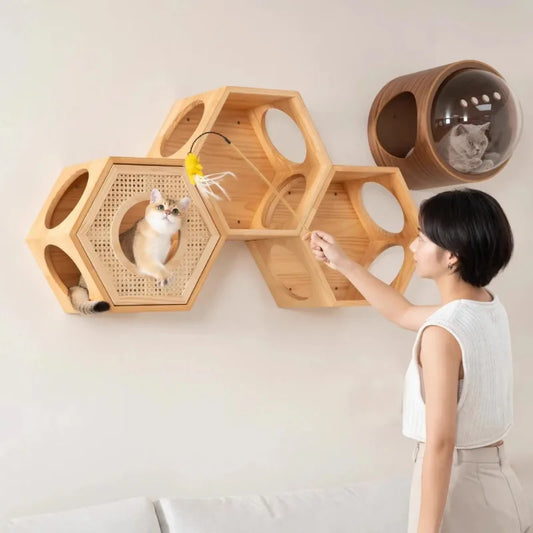 Wall-Mounted Transparent Cat Climbing Set