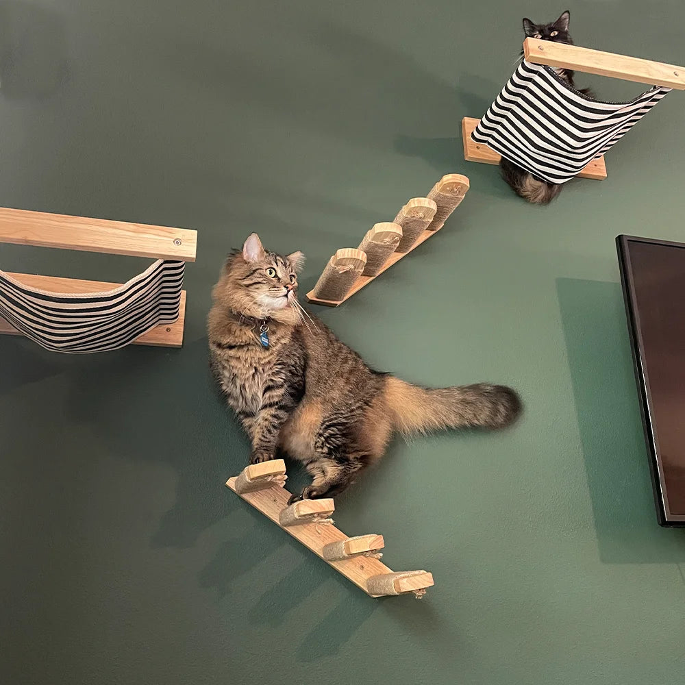 Wall-Mounted Cat Ladder & Platform