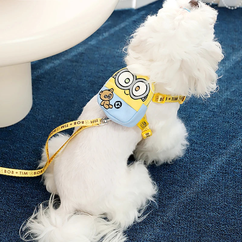 Pet Harness and Leash Set