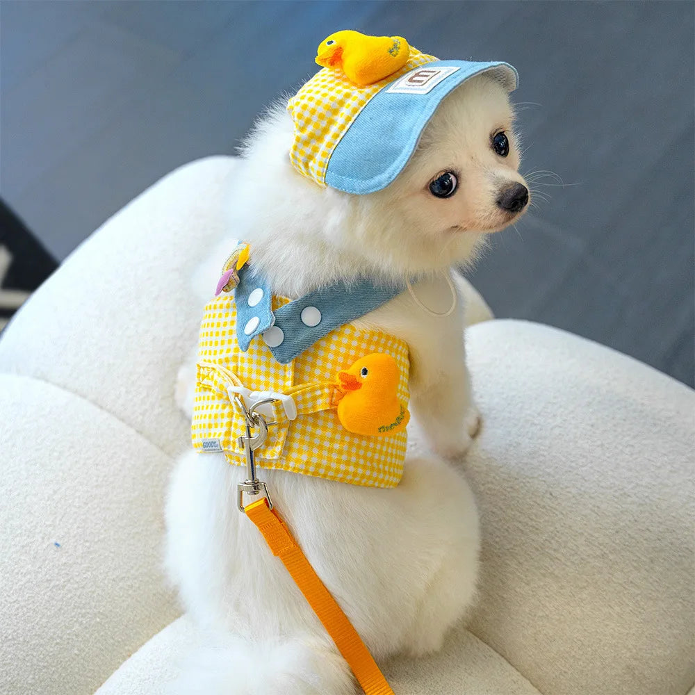 3-Piece Pet Harness & Leash Set