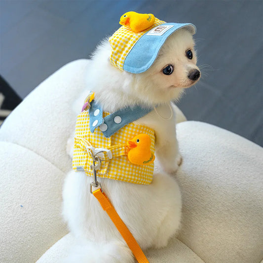 3-Piece Pet Harness & Leash Set