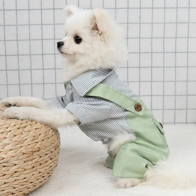 Striped Puppy Overalls