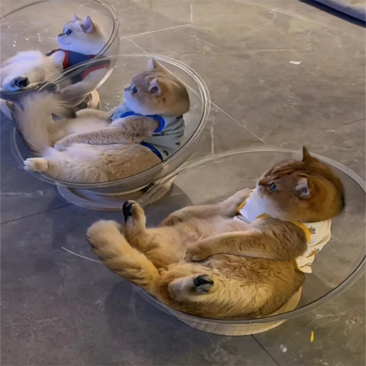 Universal Capsule Cat Bed