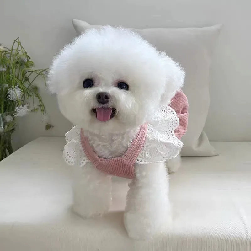 Corduroy Pumpkin Pet Dress
