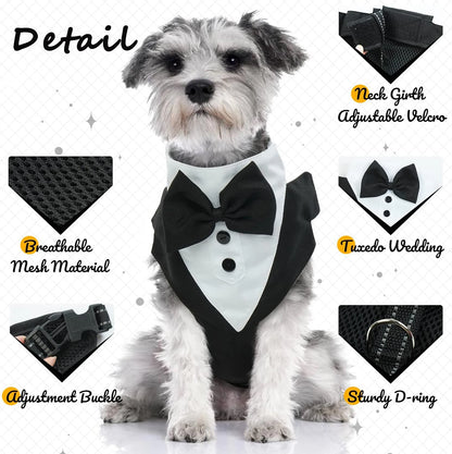 Puppy Tuxedo Harness with Bow Tie