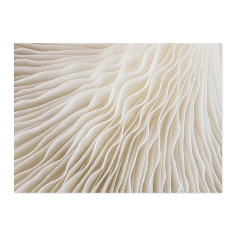 METYC| Abstract Beige Wall Poster