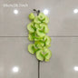 JERDBO| 8 Heads Artificial Orchid 