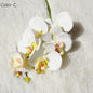 YAJIOP| Artificial Orchid Flowers