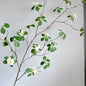 FLORYA| Artificial Long Branches